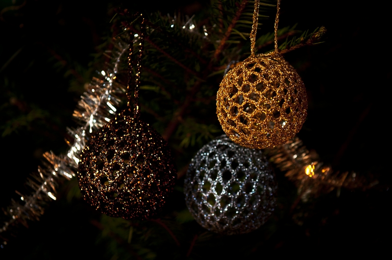 Koriste13 1280px.jpg